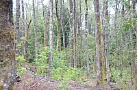 DSC_3920.JPG DSC_3920.JPG