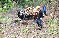 DSC_3927.JPG DSC_3927.JPG