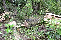 DSC_3945.JPG DSC_3945.JPG