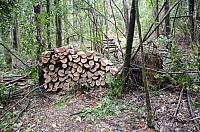 DSC_3954.JPG DSC_3954.JPG