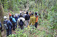 DSC_3961.JPG DSC_3961.JPG