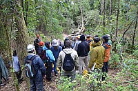 DSC_3962.JPG DSC_3962.JPG