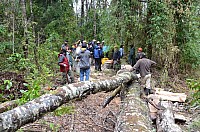 DSC_3967.JPG DSC_3967.JPG