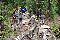DSC_3969.JPG DSC_3969.JPG