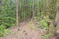DSC_3985.JPG DSC_3985.JPG