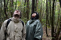 DSC_3990.JPG DSC_3990.JPG