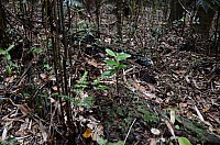 DSC_4000.JPG DSC_4000.JPG