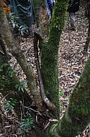 DSC_4006.JPG DSC_4006.JPG