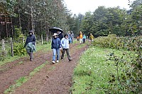 DSC_4009.JPG DSC_4009.JPG