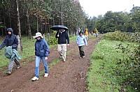 DSC_4011.JPG DSC_4011.JPG