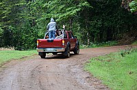 DSC_4037.JPG DSC_4037.JPG