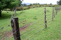 DSC_4038.JPG DSC_4038.JPG