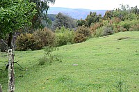 DSC_4039.JPG DSC_4039.JPG
