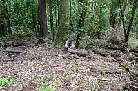 DSC_4048.JPG DSC_4048.JPG