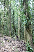 DSC_4052.JPG DSC_4052.JPG