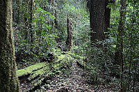 DSC_4053.JPG DSC_4053.JPG