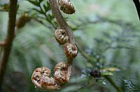 DSC_4062.JPG DSC_4062.JPG