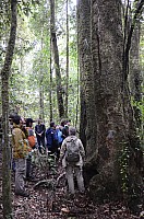 DSC_4074.JPG DSC_4074.JPG