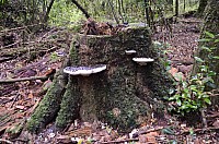 DSC_4075.JPG DSC_4075.JPG