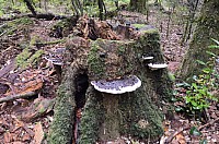DSC_4080.JPG DSC_4080.JPG