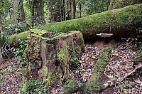 DSC_4084.JPG DSC_4084.JPG