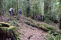 DSC_4085.JPG DSC_4085.JPG