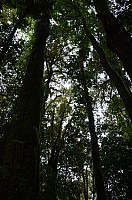 DSC_4105.JPG DSC_4105.JPG