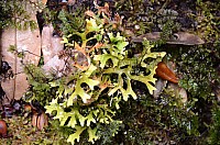 DSC_4110.JPG DSC_4110.JPG