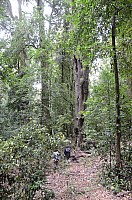 DSC_4112.JPG DSC_4112.JPG
