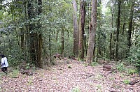 DSC_4113.JPG DSC_4113.JPG