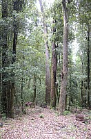 DSC_4114.JPG DSC_4114.JPG