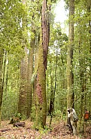 DSC_4117.JPG DSC_4117.JPG