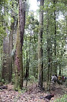 DSC_4119.JPG DSC_4119.JPG