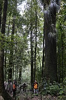 DSC_4122.JPG DSC_4122.JPG
