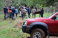 DSC_4154.JPG DSC_4154.JPG
