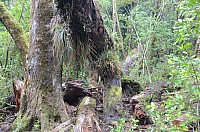 DSC_4159.JPG DSC_4159.JPG