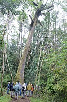 DSC_4161.JPG DSC_4161.JPG