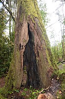 DSC_4169.JPG DSC_4169.JPG