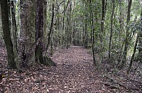 DSC_4176.JPG DSC_4176.JPG