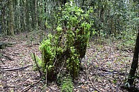 DSC_4184.JPG DSC_4184.JPG