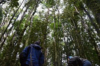 DSC_4190.JPG DSC_4190.JPG